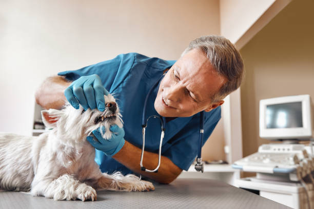Best Emergency Root Canal Treatment in Glasgow, KY